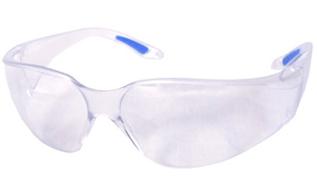 Vegas Safety Spec Clear Lens Bee