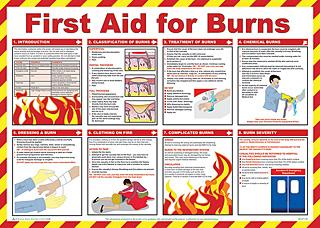 First Aid For Burns Poster Bee