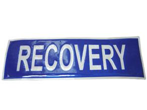 Recovery Badge Large Bee