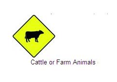 Permanent Traffic Sign Cattle Or Farm Animals 600x600 W151 Renni