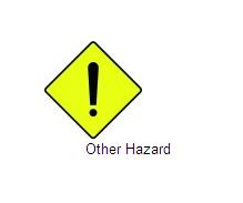 Permanent Traffic Sign Other Hazard 600x600 W170 Renni