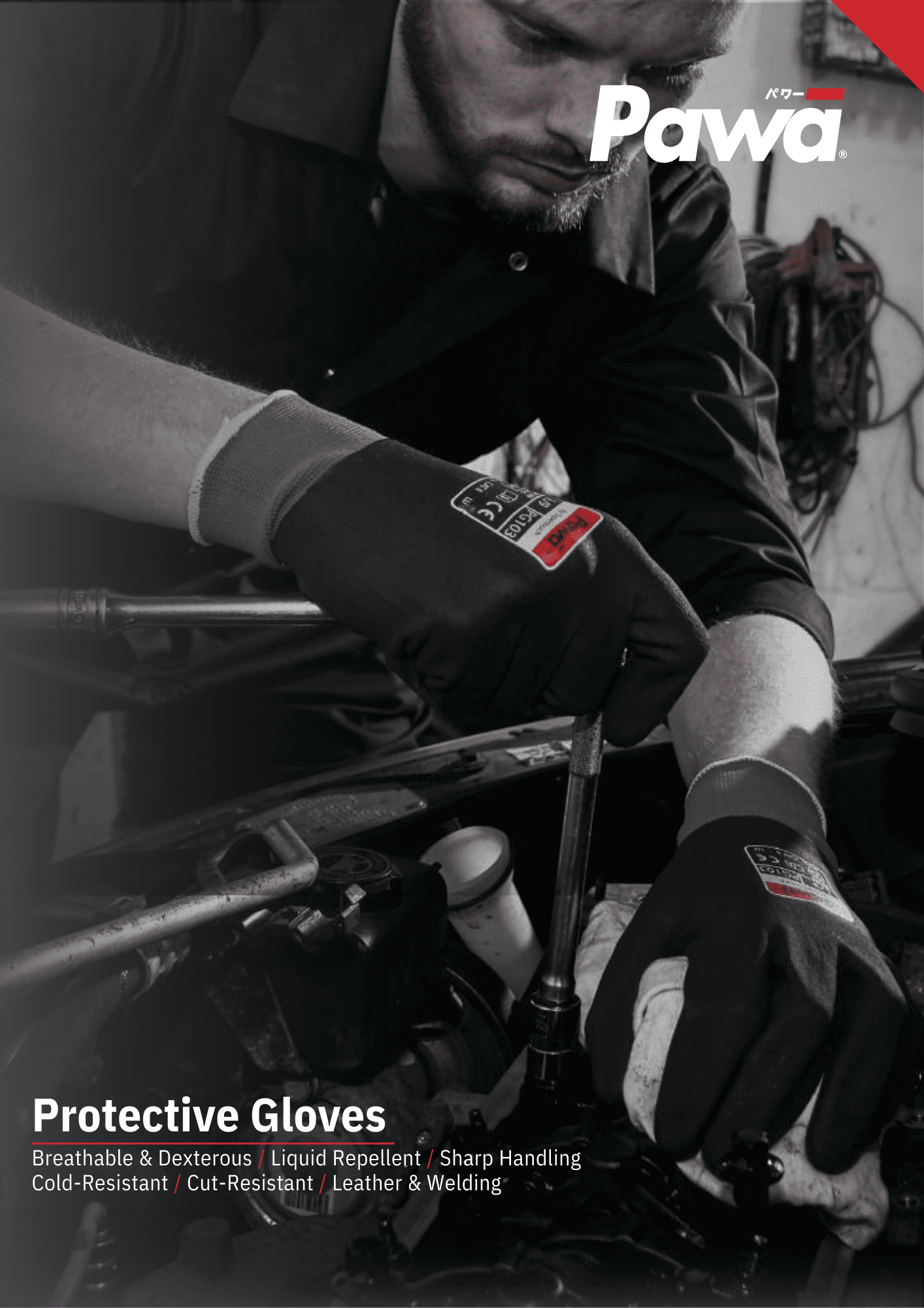 Image missing. Click here to open PDF file