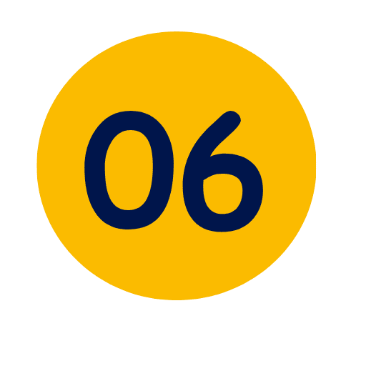 06